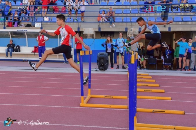 3336 (Copiar) (Copiar)